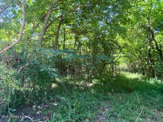 0 Burton, Senatobia, MS 38668