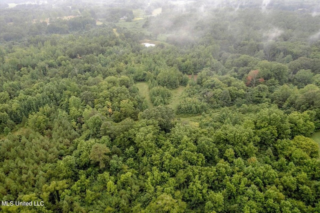 0 Burton, Senatobia, MS 38668
