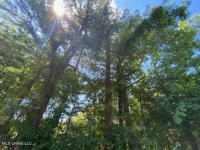 0 Burton, Senatobia, MS 38668