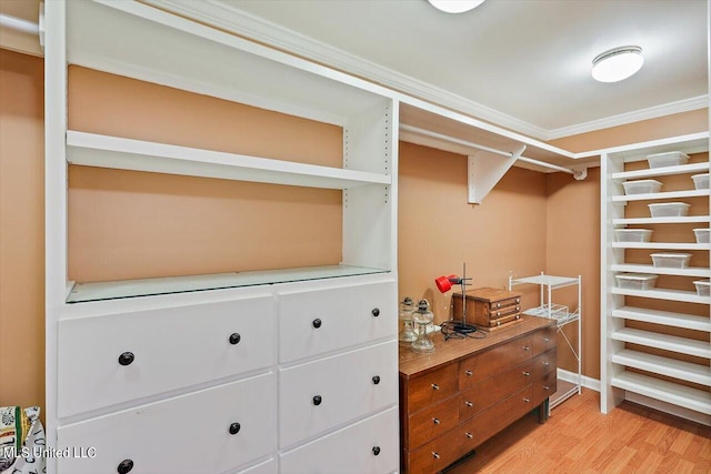 walk in closet featuring light hardwood / wood-style floors