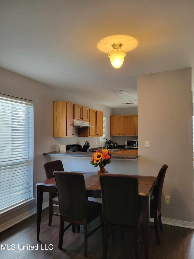 dining room featuring dark wood-type flooring