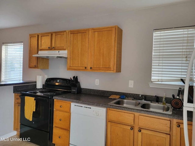 kitchen with sink, dishwasher, and black electric range