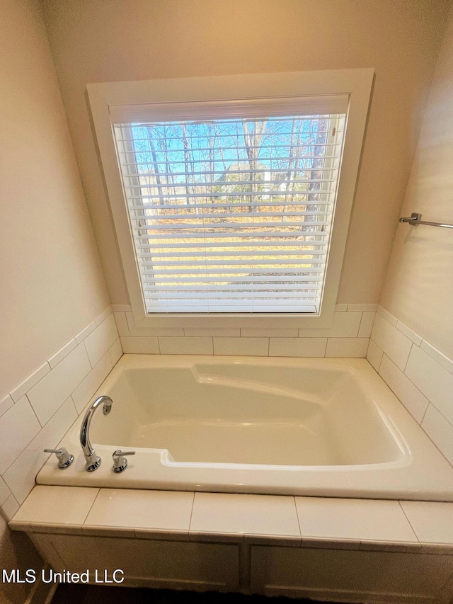 bathroom with plenty of natural light and a bathing tub