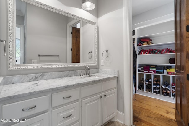 123 Klaas Blvd, Madison, MS 39110 - bathroom featuring vanity and a spacious closet