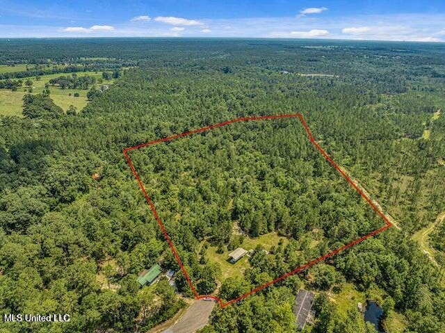 26614 Creek Cv, Perkinston MS, 39573 land for sale