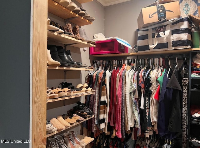 1006 Lamar St, Cleveland, MS 38732 - view of walk in closet