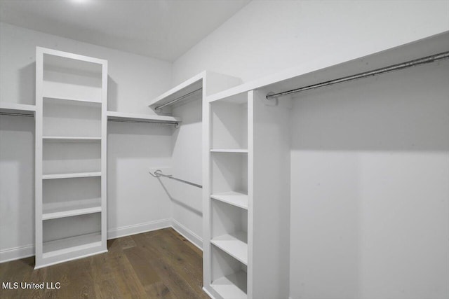 walk in closet featuring dark wood-type flooring