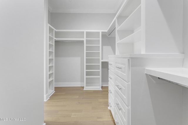 111 Grand Oak Blvd, Clinton, MS 39056 - spacious closet featuring light wood-type flooring