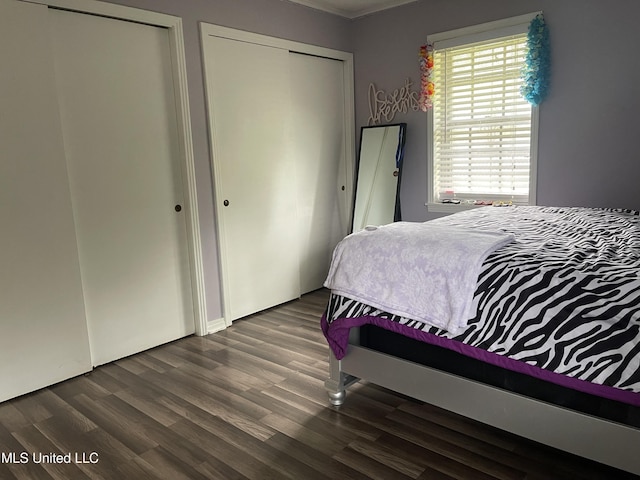 bedroom featuring dark wood-type flooring, ornamental molding, and two closets
