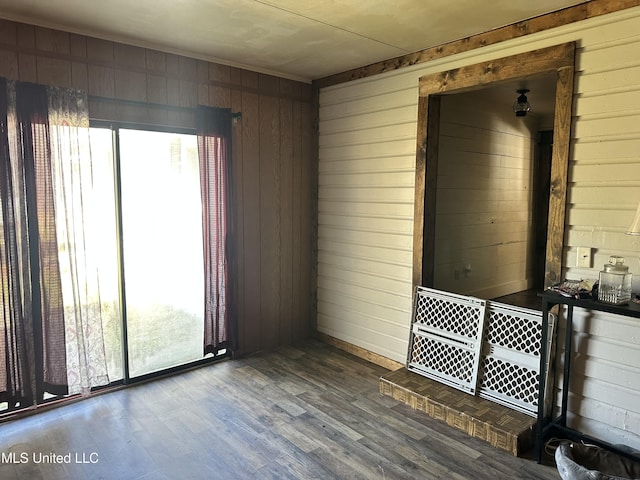 interior space featuring a healthy amount of sunlight, wooden walls, and wood finished floors