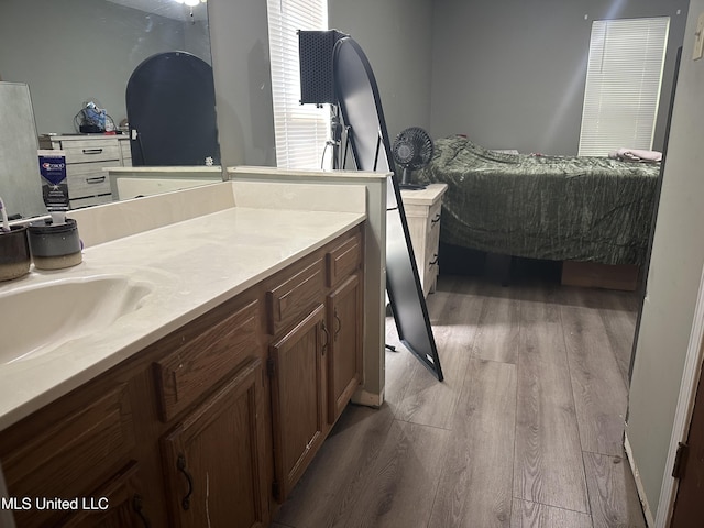 bathroom with vanity and wood finished floors