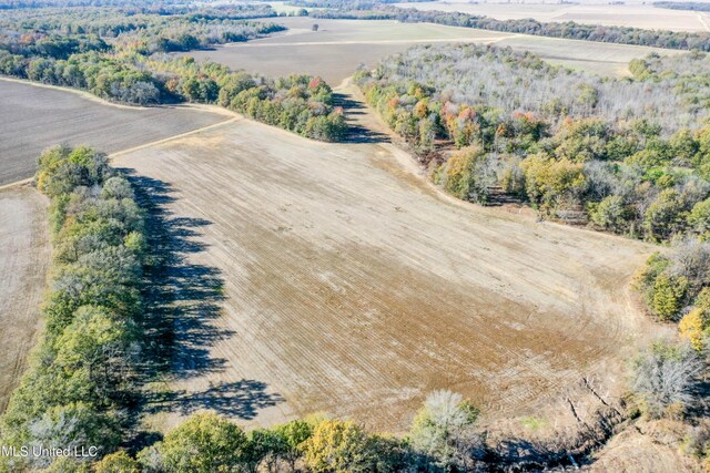 Long Rd, Ruleville, MS 38771
