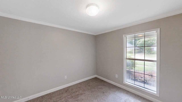 594 Acorn Ln, Brandon, MS 39047 - empty room featuring carpet flooring and crown molding
