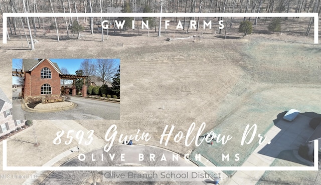 8593 Gwin Holw, Olive Branch MS, 38654 land for sale