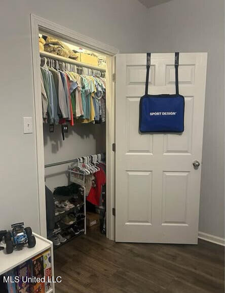 361 Cherry Bark Ln, Courtland, MS 38620 - view of closet