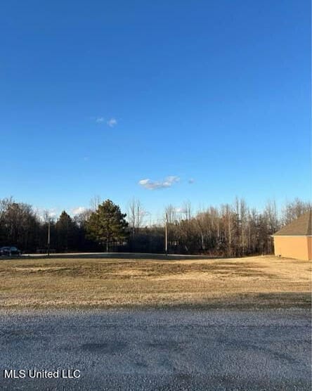 361 Cherry Bark Ln, Courtland, MS 38620 - view of yard