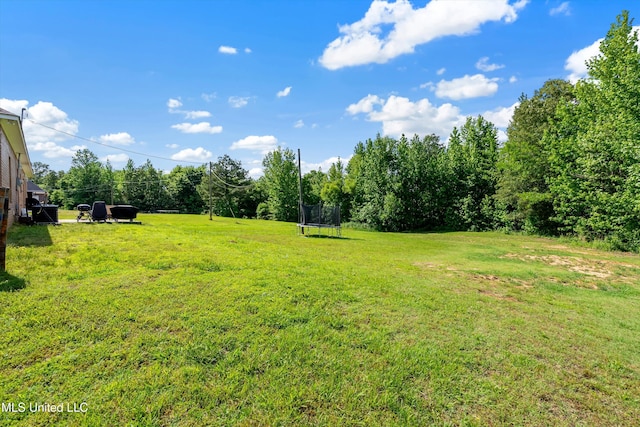 361 Cherry Bark Ln, Courtland, MS 38620 - view of green lawn featuring a trampoline