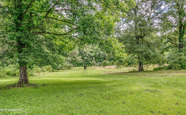 4661 Wildwood Rd, Benton, MS 39039 - view of grassy yard