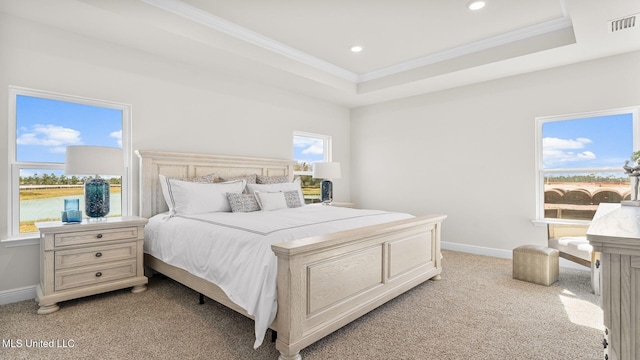 carpeted bedroom with crown molding and a raised ceiling