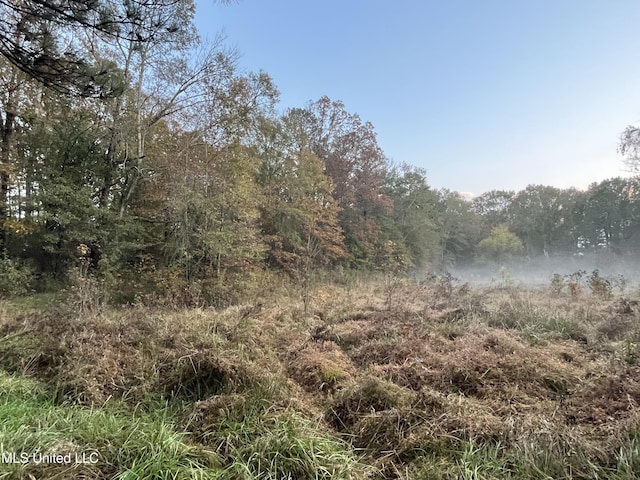 view of local wilderness