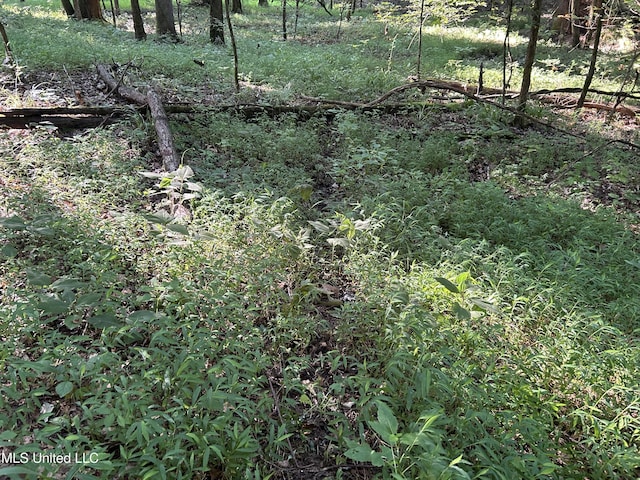 Avant Rd, Crenshaw, MS 38621