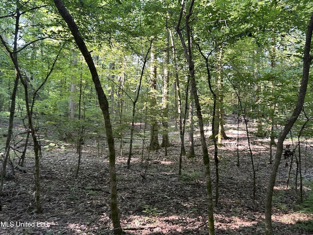 Avant Rd, Crenshaw, MS 38621