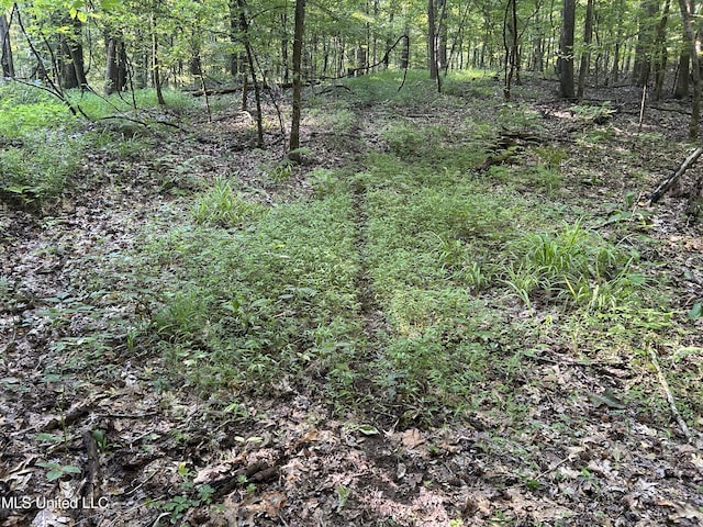 Avant Rd, Crenshaw, MS 38621