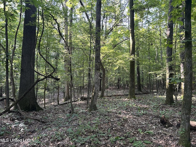 Avant Rd, Crenshaw, MS 38621