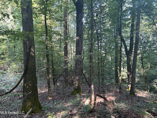 Avant Rd, Crenshaw, MS 38621
