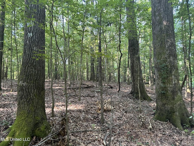 Avant Rd, Crenshaw, MS 38621