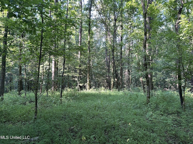 Avant Rd, Crenshaw, MS 38621