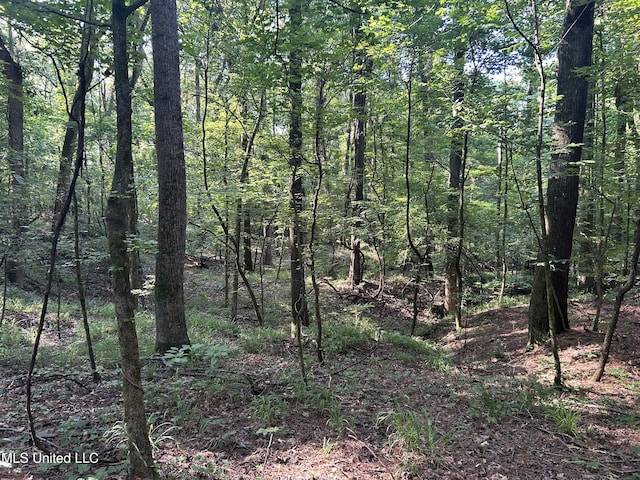 Avant Rd, Crenshaw, MS 38621