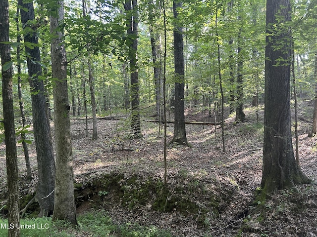 Avant Rd, Crenshaw, MS 38621