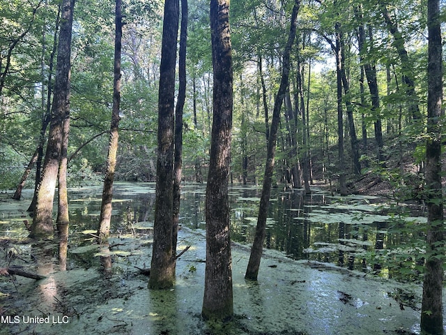 Avant Rd, Crenshaw, MS 38621