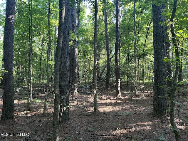 Avant Rd, Crenshaw, MS 38621