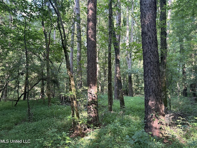 Avant Rd, Crenshaw, MS 38621