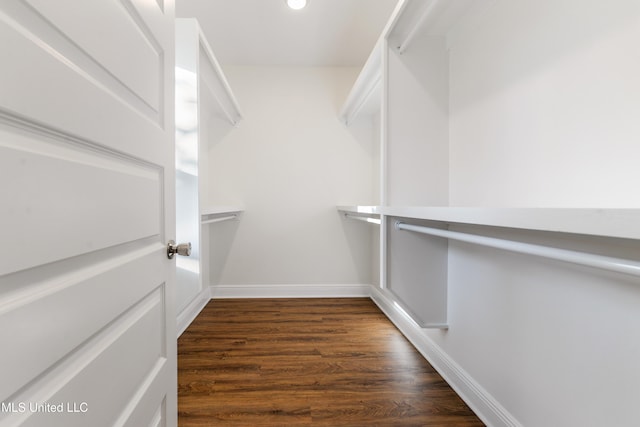 walk in closet featuring dark wood-type flooring