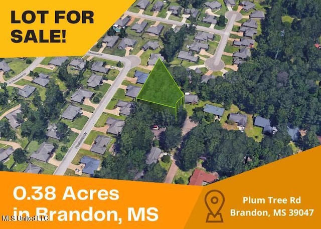 136 Plum Tree Rd, Brandon, MS 39047