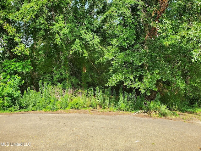136 Plum Tree Rd, Brandon, MS 39047