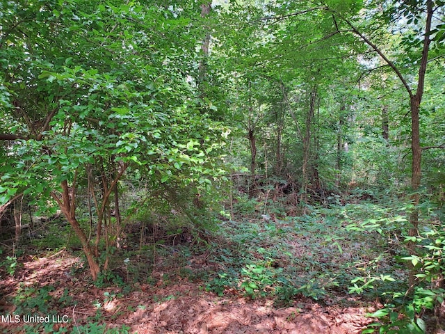 136 Plum Tree Rd, Brandon, MS 39047
