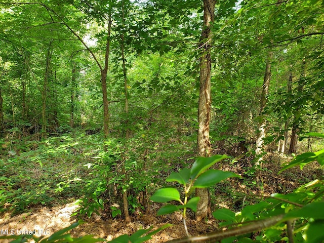 136 Plum Tree Rd, Brandon, MS 39047