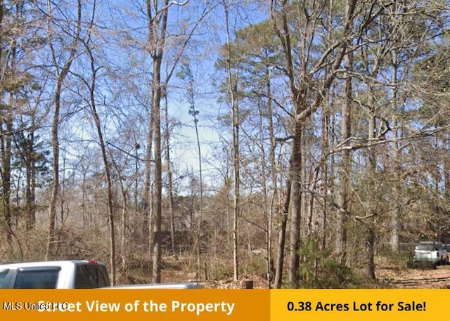 136 Plum Tree Rd, Brandon, MS 39047