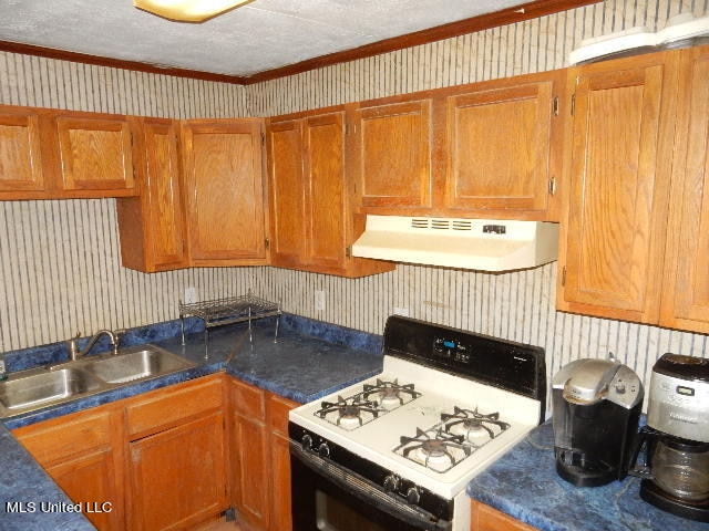 kitchen featuring white gas range, a textured ceiling, exhaust hood, and sink