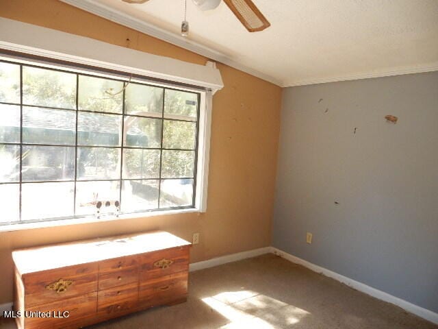 unfurnished bedroom featuring ornamental molding and carpet floors