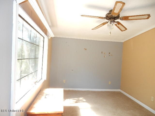 carpeted empty room with crown molding and ceiling fan