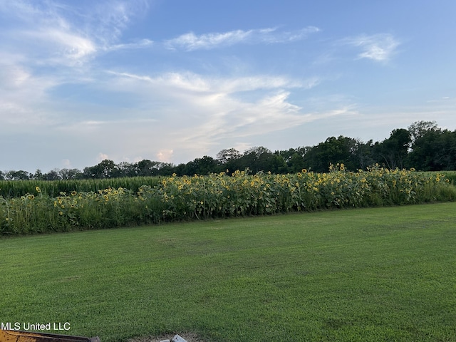 1171 S Bayou Rd, Boyle, MS 38730 - view of grassy yard with a rural view