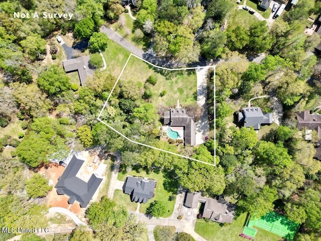 drone / aerial view