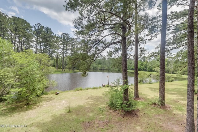 146 Maple Dr, Perkinston, MS 39573 - water view