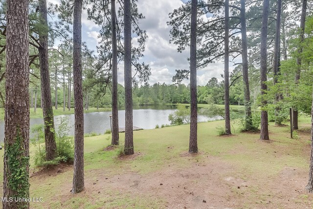 146 Maple Dr, Perkinston, MS 39573 - water view