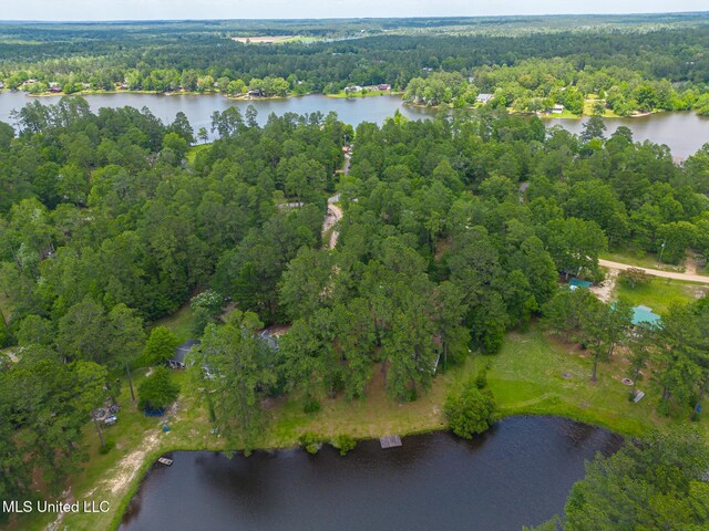 146 Maple Dr, Perkinston, MS 39573 - aerial view of property's location with a forest and a large body of water